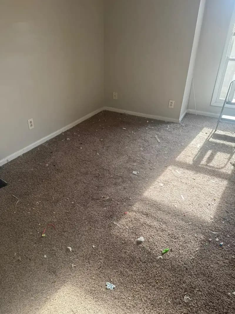 Restauración de pisos antes y después por Golden Touch Cleaning — Before