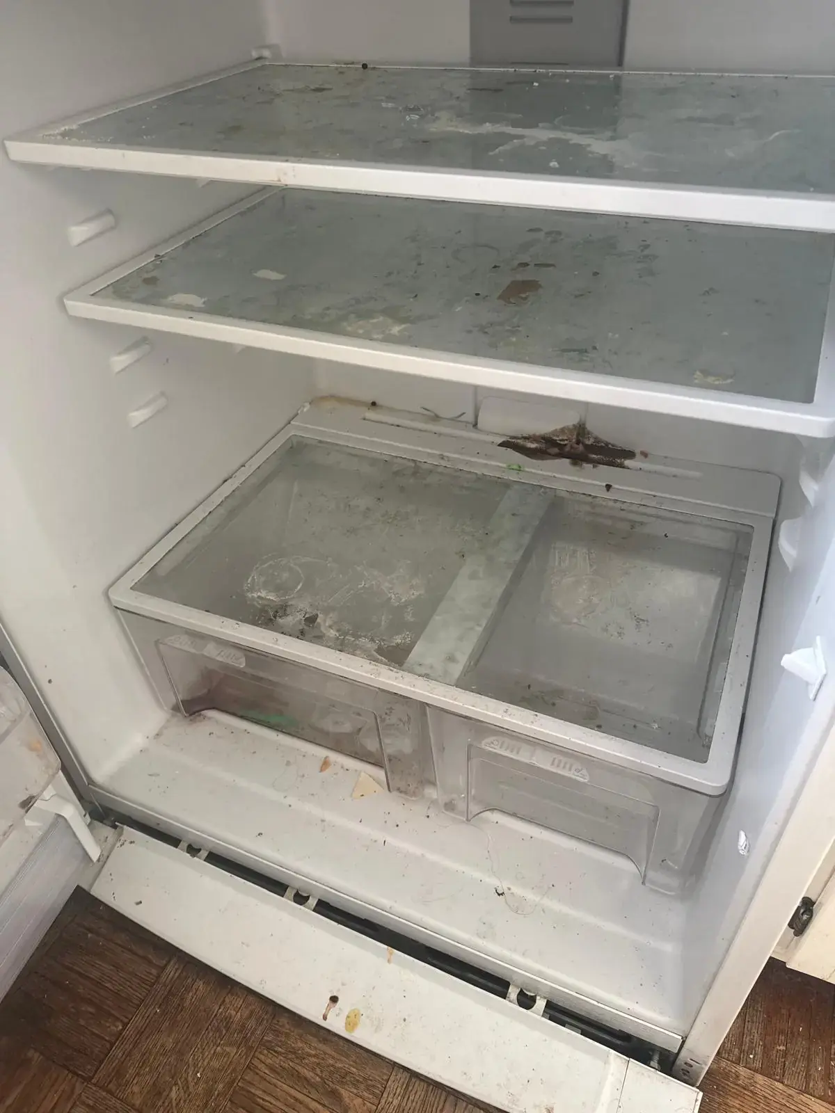 Limpieza profunda de refrigerador antes y después por Golden Touch Cleaning — Before